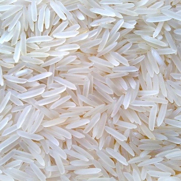 Riz et pâtes organiques en gros NutriBoost grossiste de Riz et pâtes Riz et pâtes organiques en gros NutriBoost grossiste de Riz et pâtes